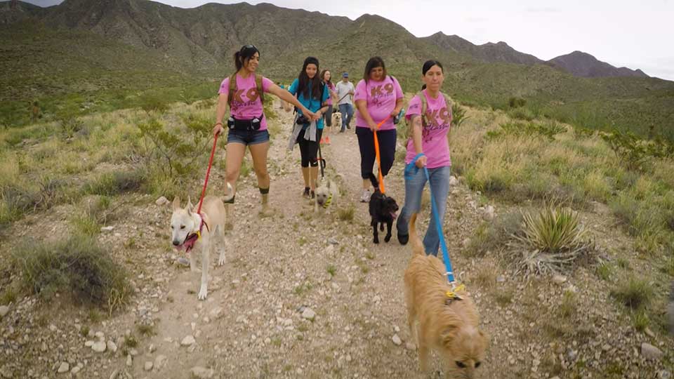 Hiking Dogs, Telling Stories & Protecting Paddlefish