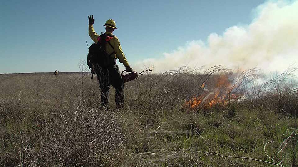 Eroding Island, Fire Crew & Jamaica Beach