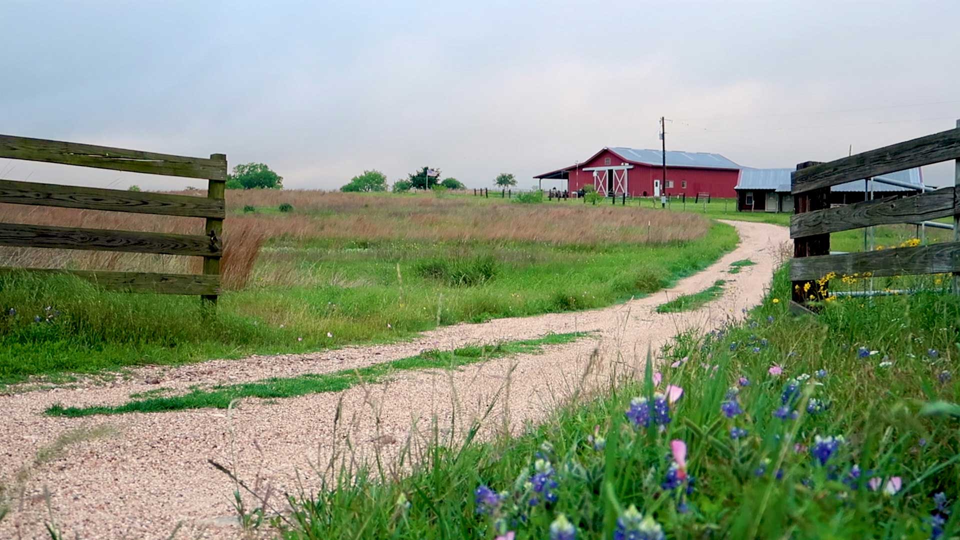 El Camino Real, Songbird Habitat & a Night Hike