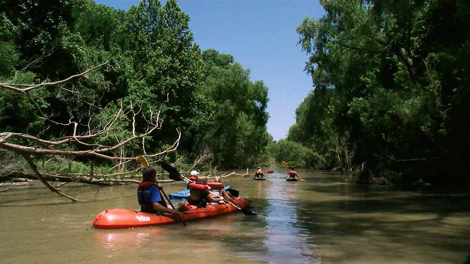 Goliad Paddling, Protecting Deer & Conservation Art