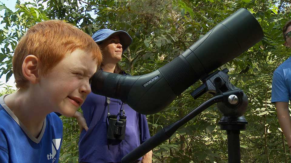 Crazy Ants, Birding Legend, Pigfoot Deer