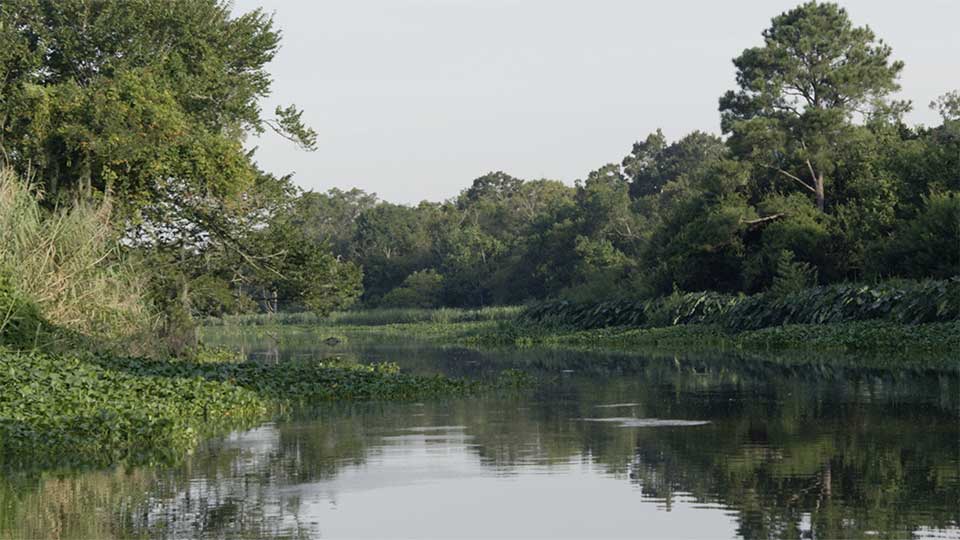 Bayou City, Park Barkers, Martin Creek Lake