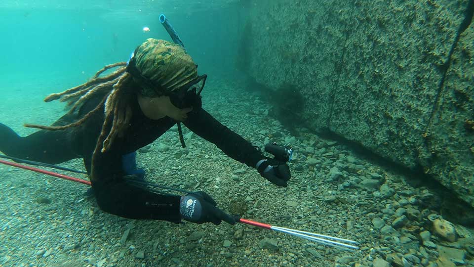 Armored Catfish, Caddo Lake, Rio Grande Valley Reef