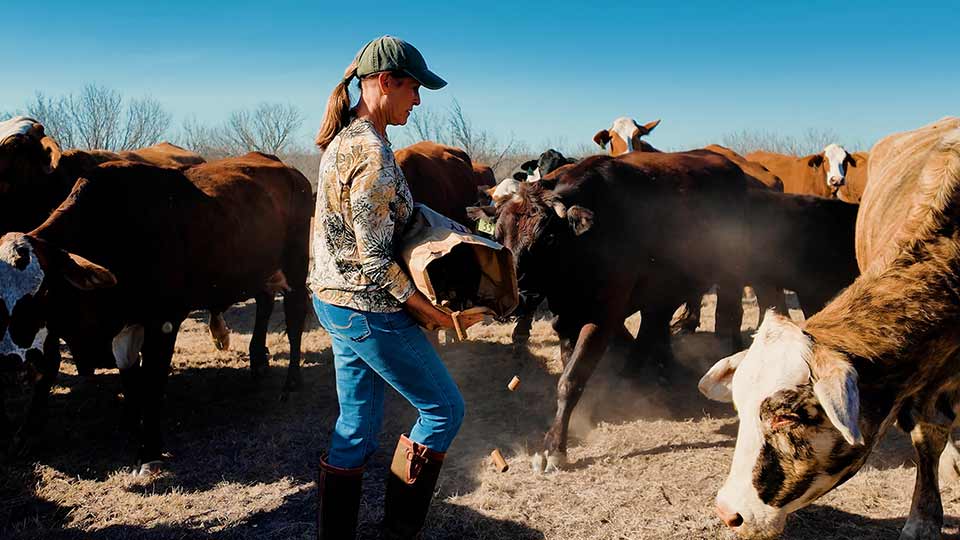 Dutch Oven Club, Century Ranch, Youth Bowhunt