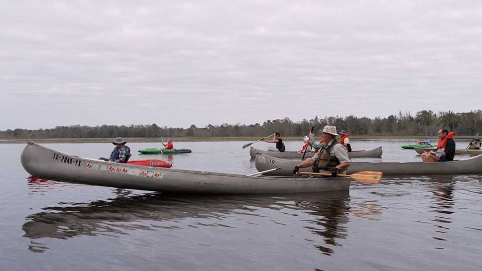 Coastal Boardwalk, Pineywoods Park, Butterflies