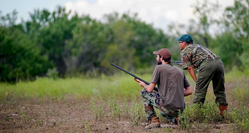 Guided Dove Hunting