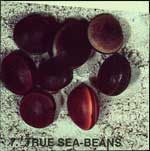 True Sea-Beans