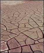 Dried Mud Pattern