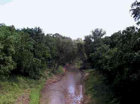 Big Creek at Brazos Bend State Park