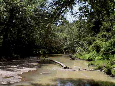 Caney Creek south of FM 1485