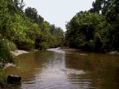 Harmon Creek south of State Highway 19