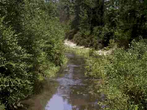 Nelson Creek west of FM 247