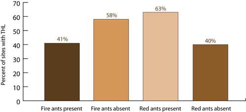 Graph of Texas Horned Lizard presence versus ant species presence, 1997-2006