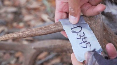 handwritten-tag-deer-large.jpg