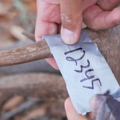 handwritten-tag-deer.jpg
