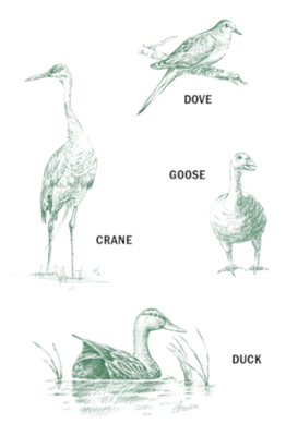 OA25-26-HIP-graphics-GET.png