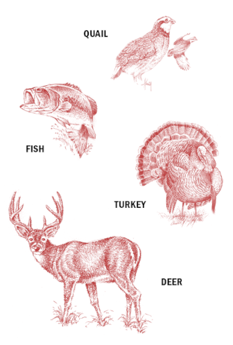 Image of non migratory game birds species