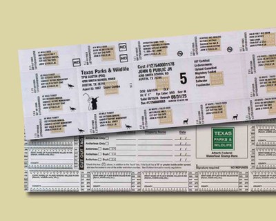 Printed paper license sample with tags