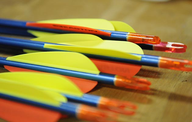 A set of archery arrows.