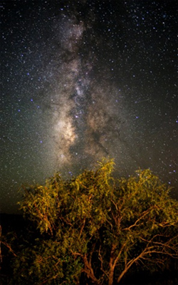 Best Stargazing in Fredericksburg, TX