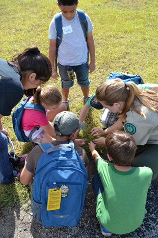 Scout Ranger Program - Youth & Young Adult Programs (U.S. National