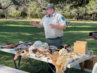 A ranger teaches a skins and skulls program with samples of animal pelts and skulls.
