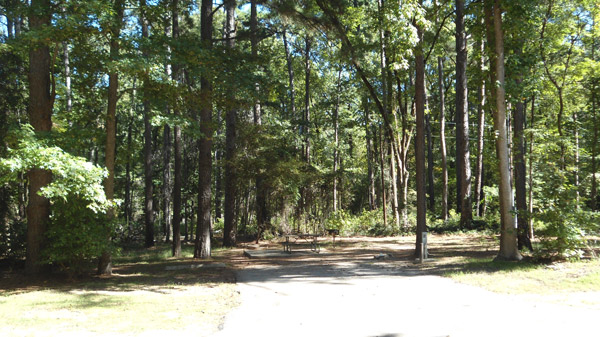 Knights Bluff site #13.