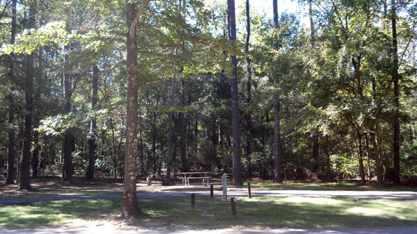 Site #18 in the Knights Bluff area.