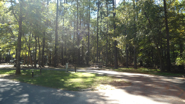 Site #18 in the Knights Bluff area.