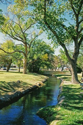 Canal meandering through trees.