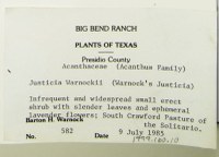 Typed notes for a plant collected by Dr. Warnock.