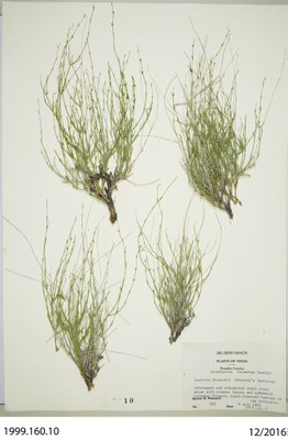 1999_1000p.jpg