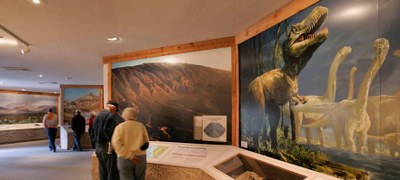 Inside the Barton Warnock Visitor Center