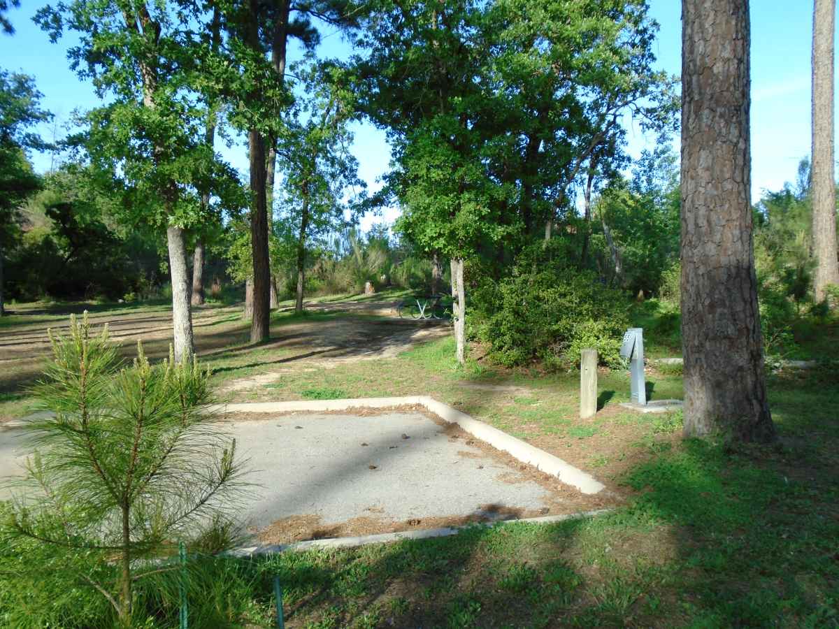 Campsite 55 in the Copperas Creek Camp area.