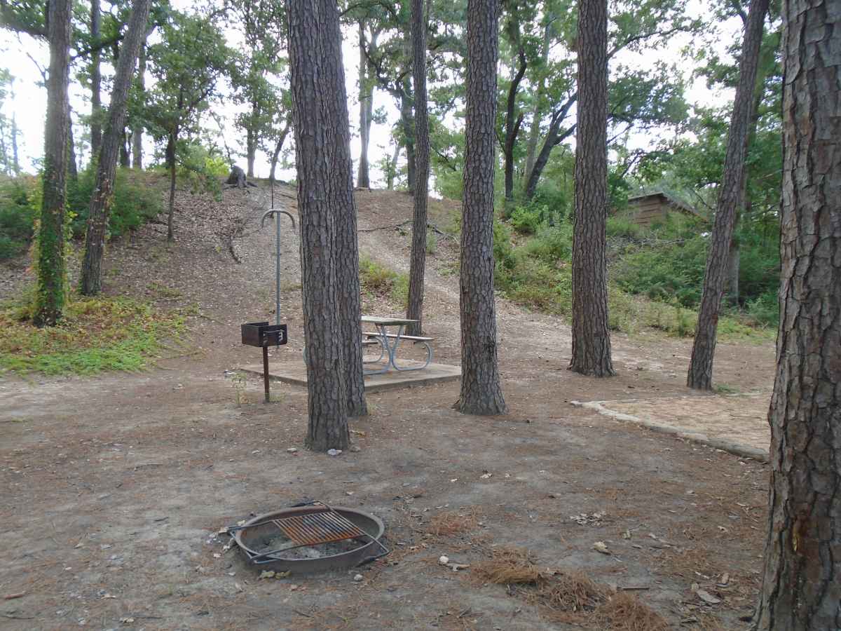 Campsite 62 in the Copperas Creek Camp area.