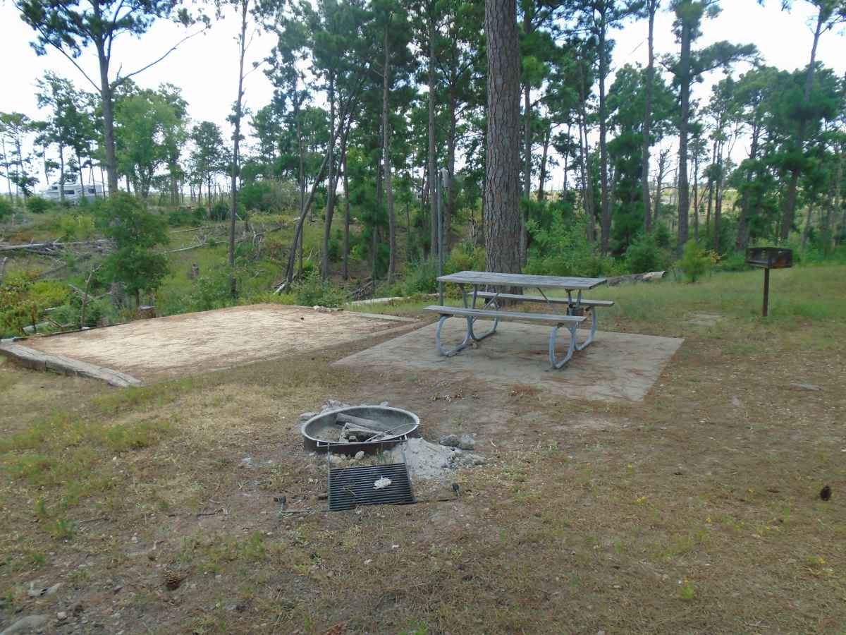 Campsite 31 in the Deer Run camping area. 