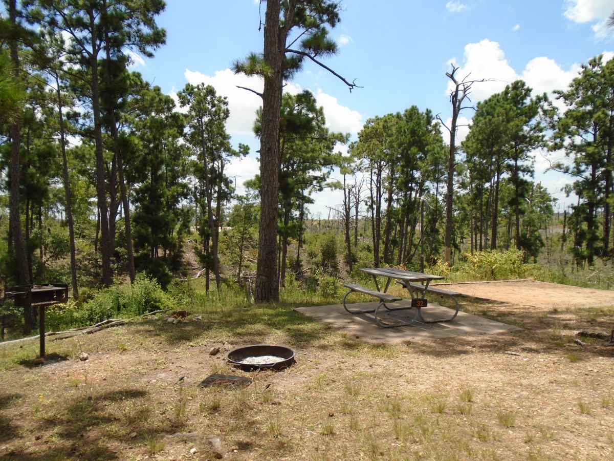 Campsite 32 in the Deer Run camping area. 