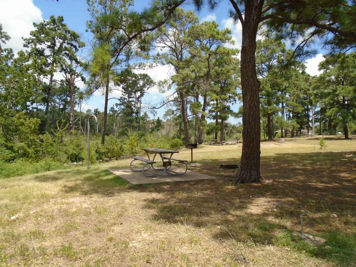 Campsite 35 in the Deer Run camping area. 