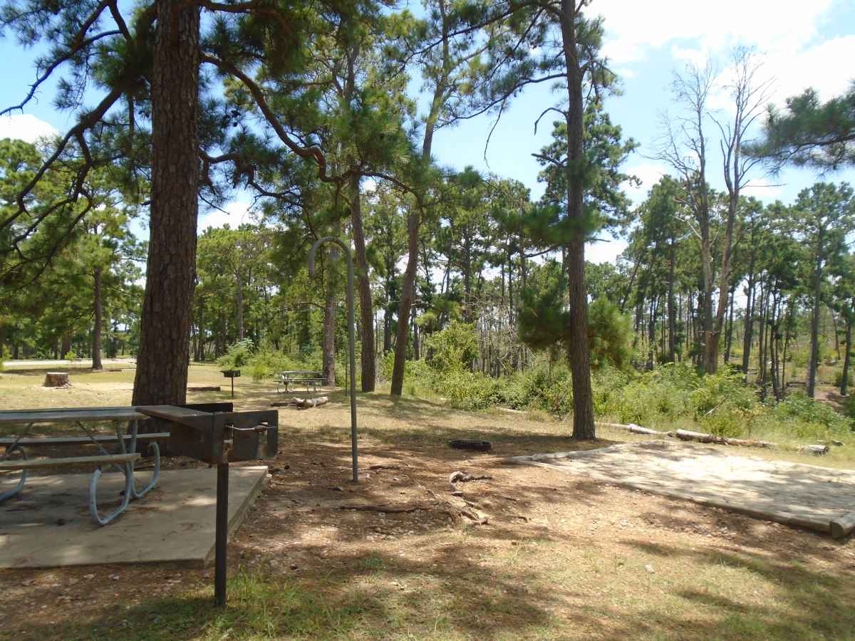 Campsite 37 in the Deer Run camping area. 