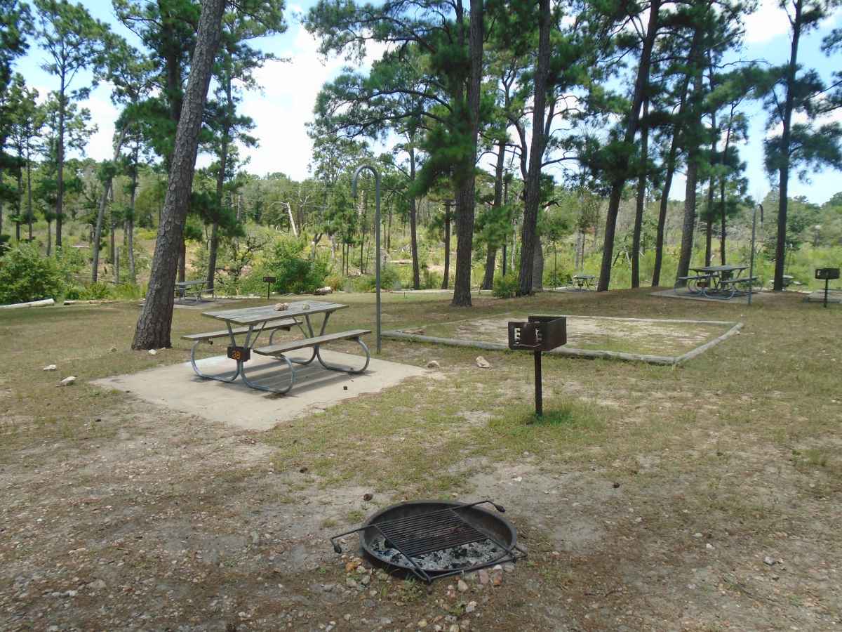 Campsite 38 in the Deer Run camping area. 