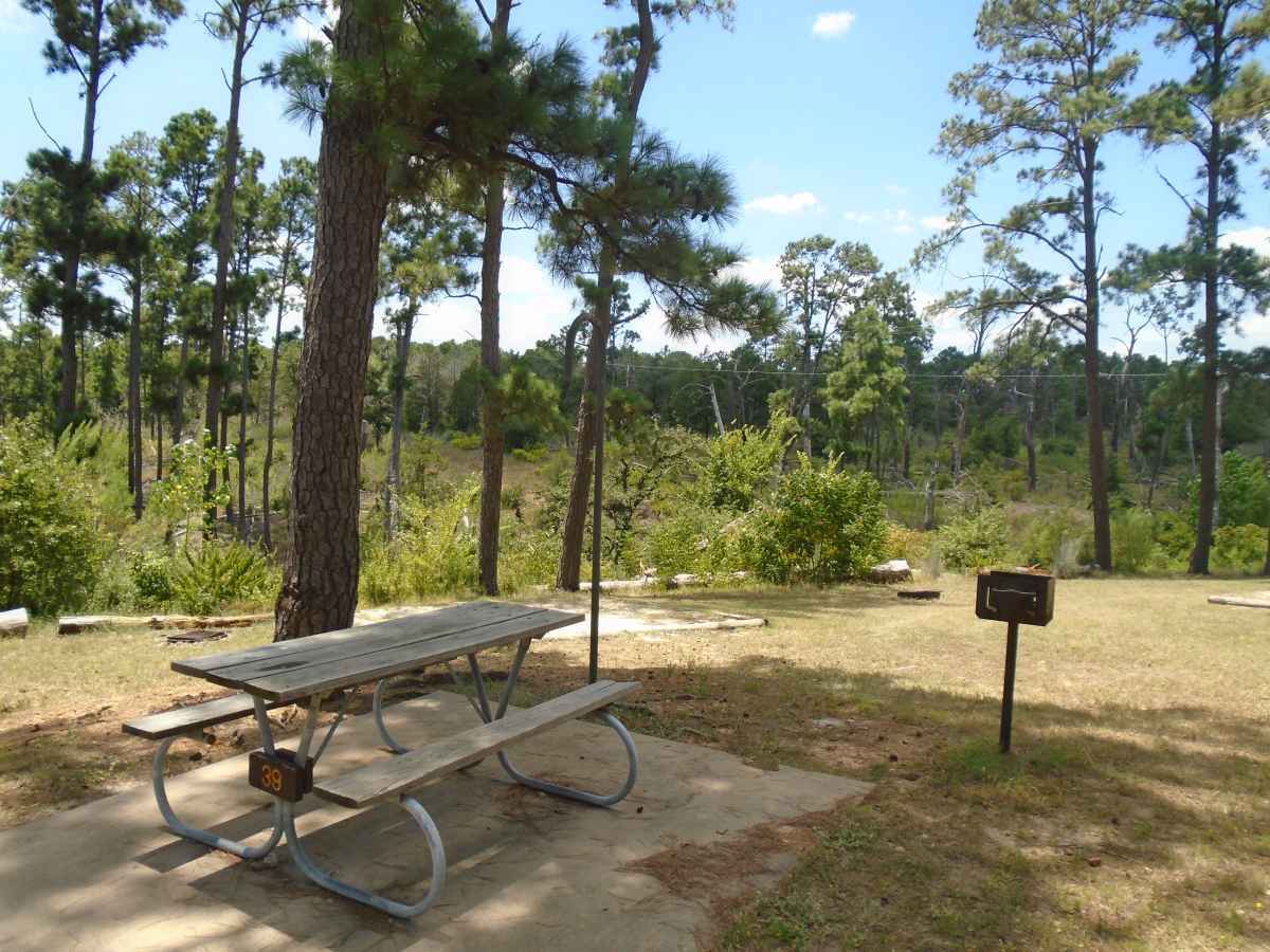 Campsite 39 in the Deer Run camping area. 