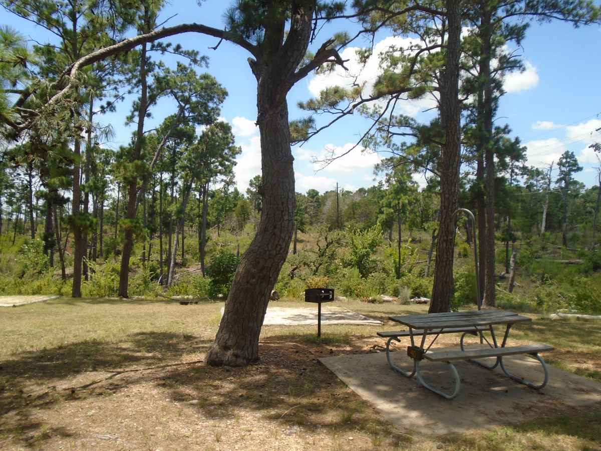 Campsite 40 in the Deer Run camping area.