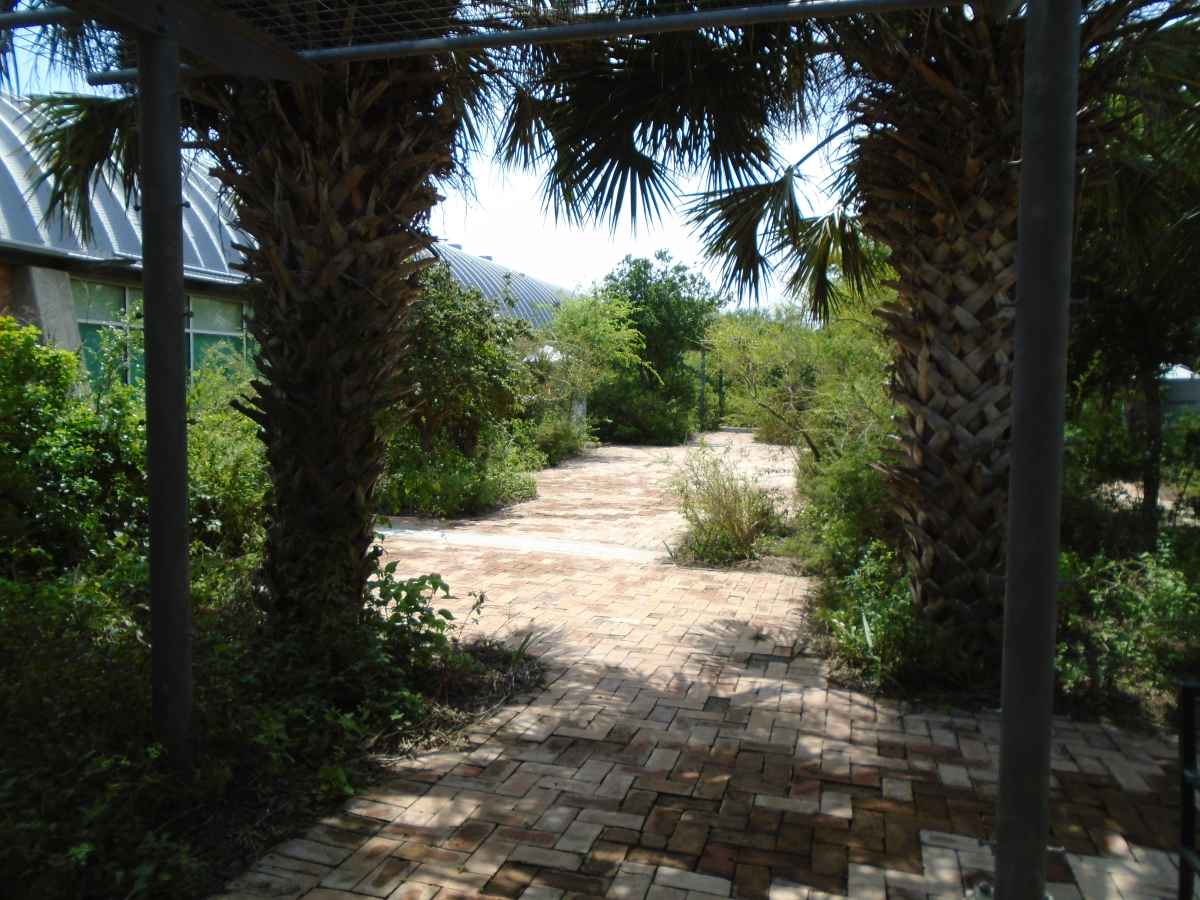 The grounds around the Conference Room. 