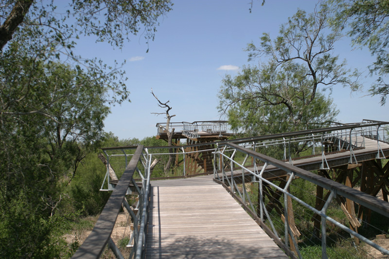 Bentsen Rio Grande Valley State Park Hawk Observation Tower Texas Parks Wildlife Department