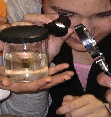 Kids looking at water samples using magnifying glasses.