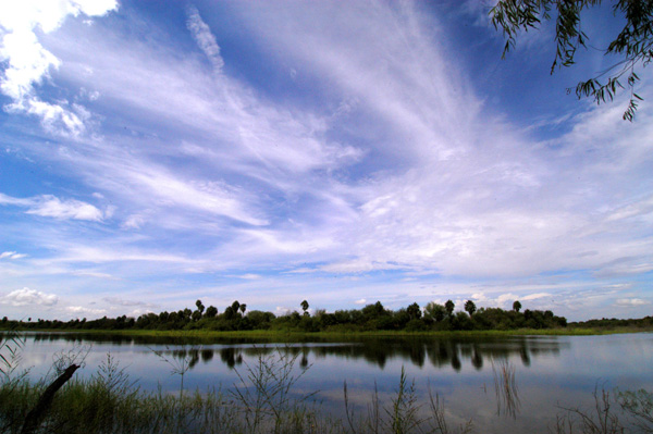 Wetlands with dramatic clouds overhead