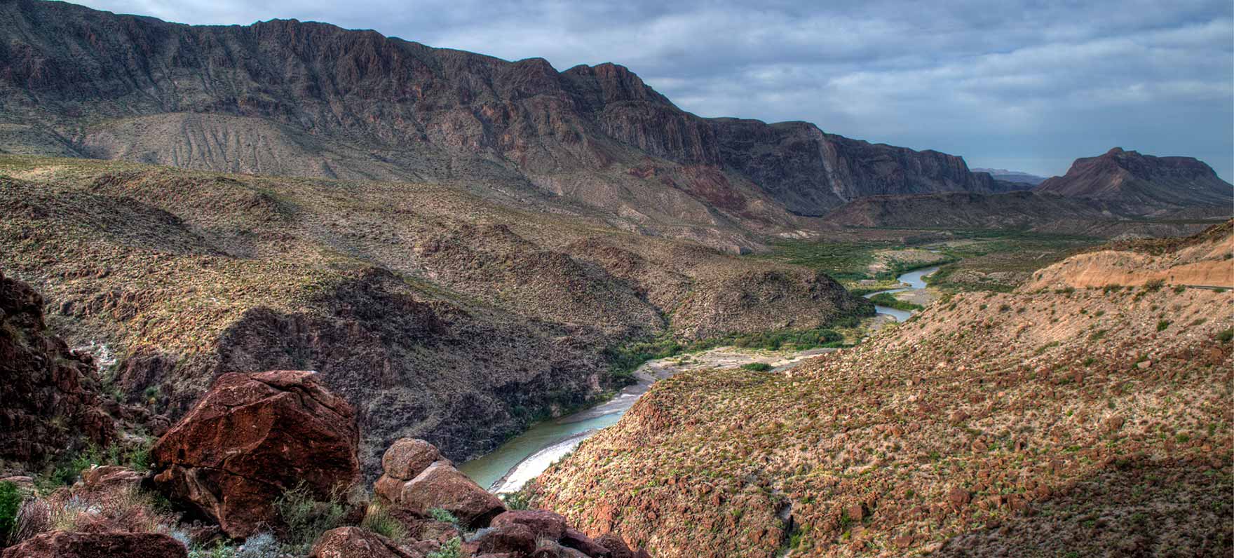 are dogs allowed in big bend national park texas