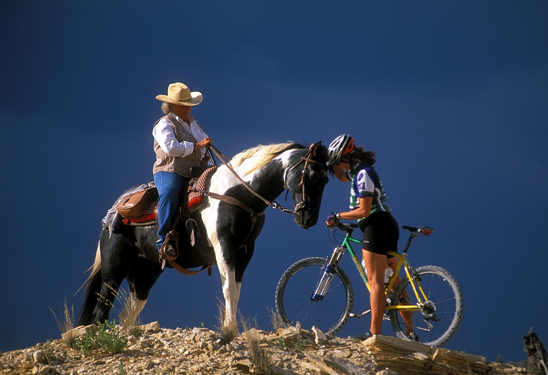 Big bend cheap mountain biking