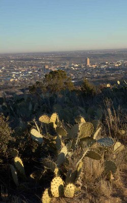 View of over Big Spring with cacti in the foreground