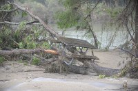 Picnic table caught in flood debris beside the river